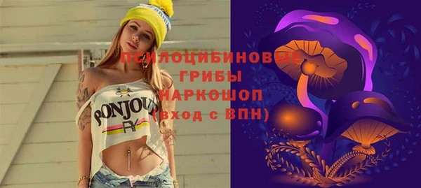 сатива Медногорск