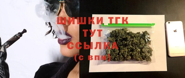 сатива Медногорск