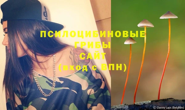 сатива Медногорск