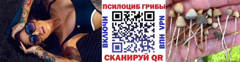 Псилоцибиновые грибы Cubensis  Сухиничи 